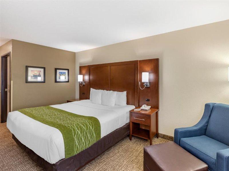 Comfort & Hotel